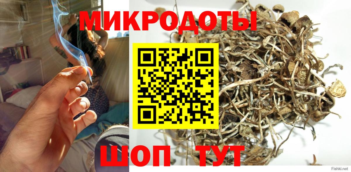 Псилоцибиновые грибы прущие грибы Костомукша
