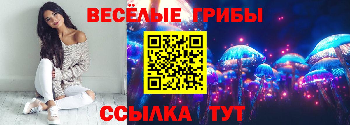 Галлюциногенные грибы MAGIC MUSHROOMS  Вход с VPN  Костомукша 