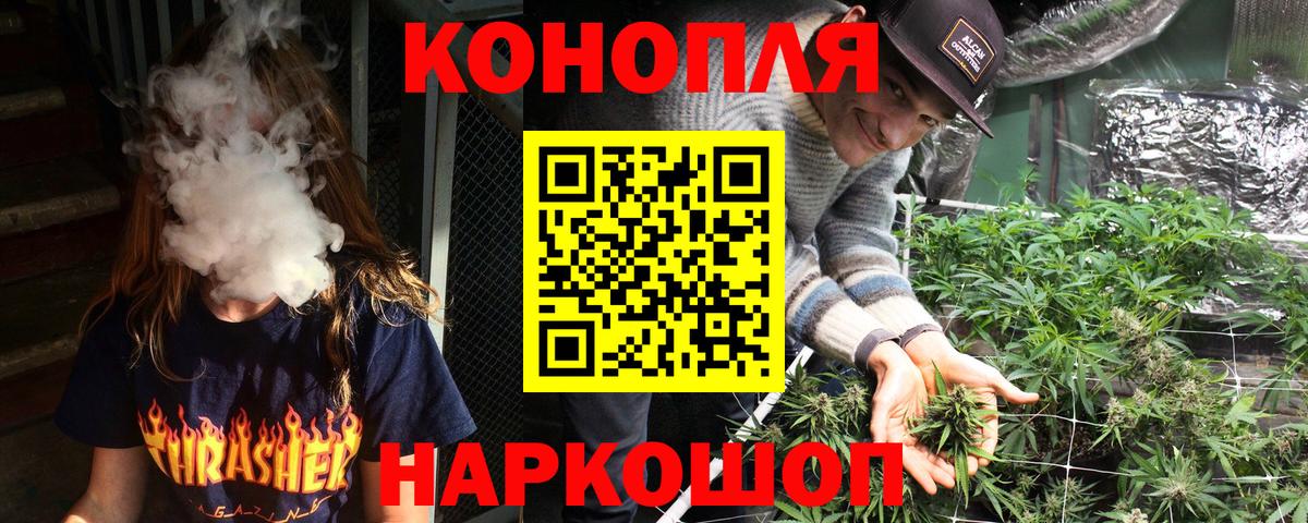 Конопля сатива Костомукша